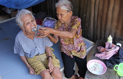 Mẹ già chuốt chổi nuôi con tâm thần