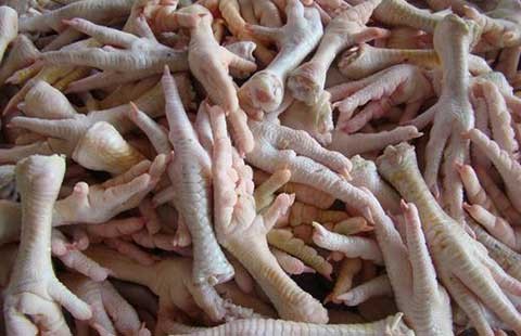 Tại sao chân gà, mề gà… cũng phải nhập?