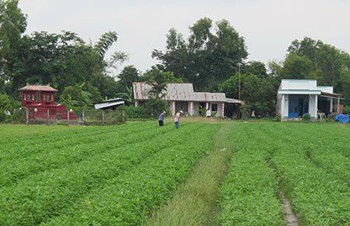 Chuyển công năng ‘hầm đất ‘khủng’ giữa khu dân sinh’