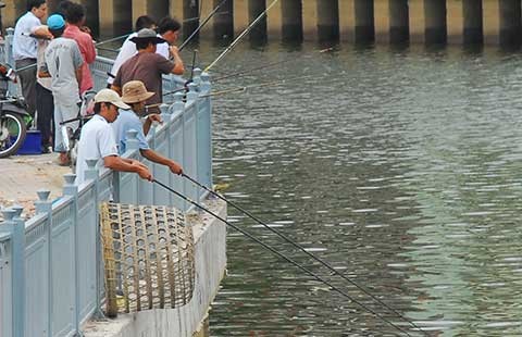 TP.HCM sẽ cấm câu cá trên kênh