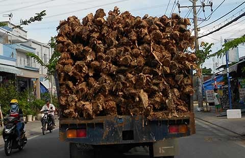 Xe chở cừ tràm quá nguy hiểm
