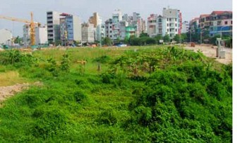 Phó Thủ tướng chỉ đạo giải quyết bốn vụ khiếu nại ở TP.HCM