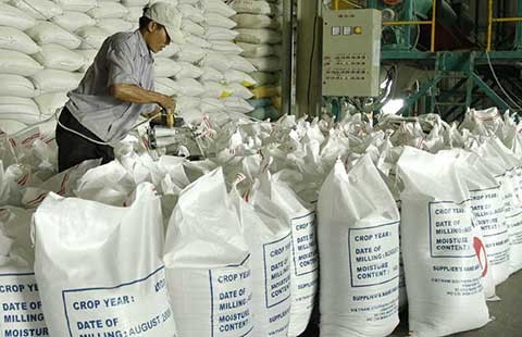 Xuất khẩu gạo sang TQ như ‘đánh bạc’