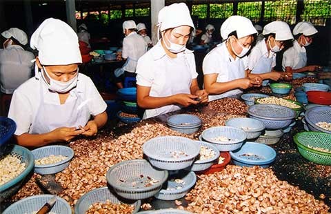 Hội nhập tới nơi mà chưa lo ‘bơi’