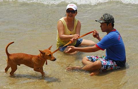 Trộm dưới 2 triệu đồng, có thể bị tù