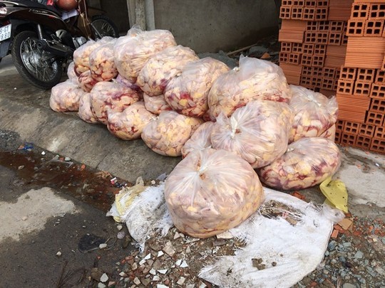Tiêu hủy gần 2.300 kg thịt và phụ phẩm bò, gà thối