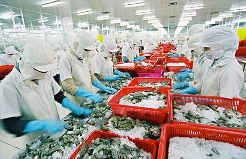 Tiến sĩ kể chuyện bán tôm, dầu thô ở Nhật