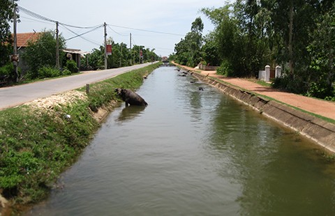 Những cuộc đời dữ dội bên dòng kênh