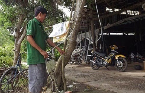 Cuối tháng sẽ xử vụ ‘bắt trói kẻ trộm bị khởi tố’