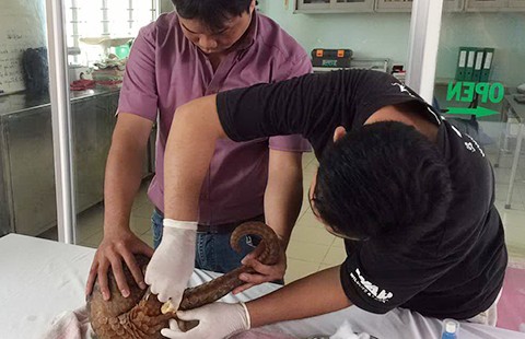 Bảo tồn đa dạng sinh học từ ý thức cộng đồng