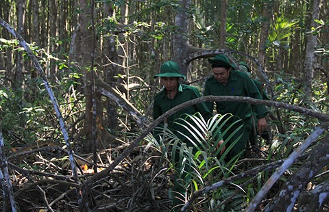 Không thu hồi đất rừng để xây trụ sở