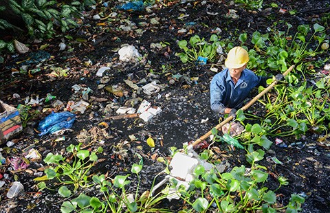 Hành động vì môi trường nông thôn bền vững