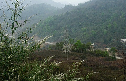Phải ‘khám sức khỏe’ nông, lâm trường quốc doanh