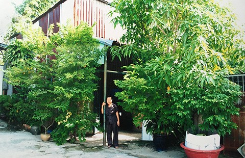 Cấp giấy đất ở, giờ lòi ra đất nông nghiệp!