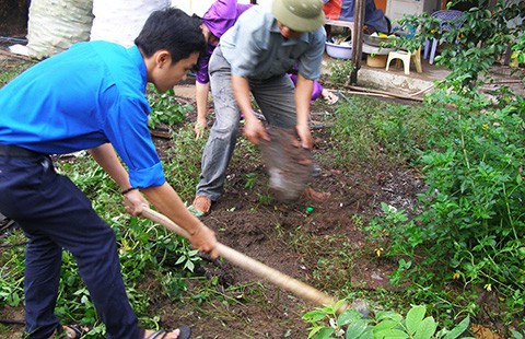TP.HCM dồn sức diệt lăng quăng