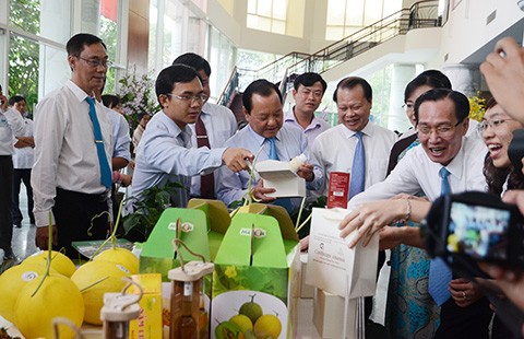Nhà Bè và Hóc Môn được công nhận huyện nông thôn mới