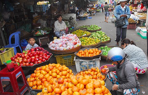 Hồng Trung Quốc ‘giết’ hồng Đà Lạt