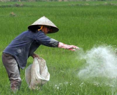 Bắt 4.000 vụ phân bón giả, chỉ khởi tố… 10 vụ