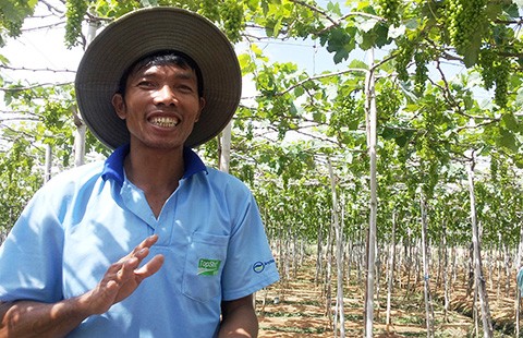 Khởi nghiệp trẻ - Bài 1: Khởi nghiệp bằng... nắng