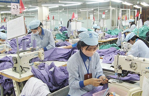 Tập đoàn nhà nước tính chuyện TPP