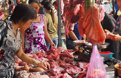 Thịt, rau chứa đầy hóa chất, kháng sinh
