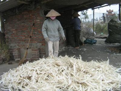 Phân bón công nghệ cao từ… lông gà, lông vịt
