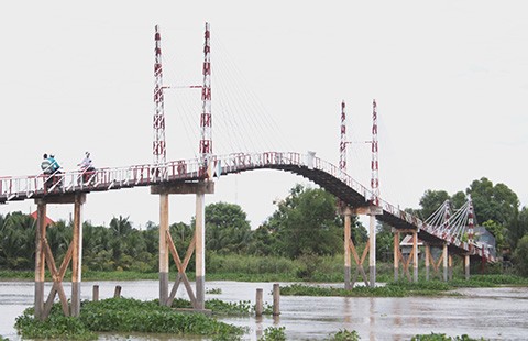 Cầu dây văng không phép chờ… sập