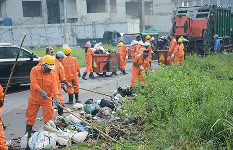 Tô điểm xanh cho thành phố