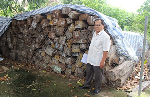 VKSND Tối cao yêu cầu hải quan trả lại gỗ