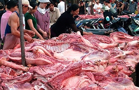 Kiểm tra xong, heo bẩn đã vô... bụng