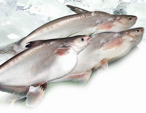 Sẽ làm việc với Bộ Nông nghiệp Hoa Kỳ về cá ba sa