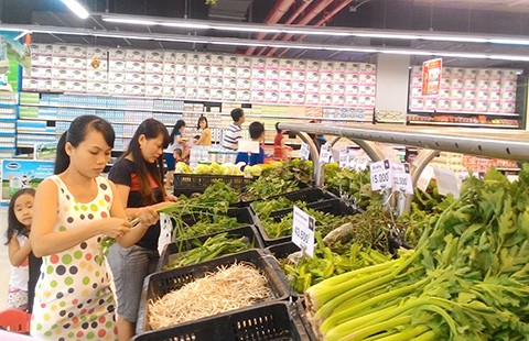 Bùng nổ rau sạch