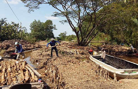Sạch túi vì con đập phi lý