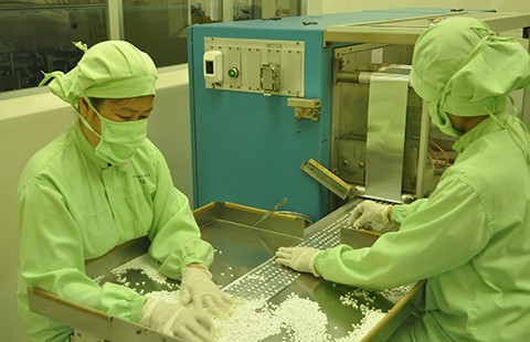 Cấm chiết xuất tiền chất, chất gây nghiện từ thuốc thành phẩm
