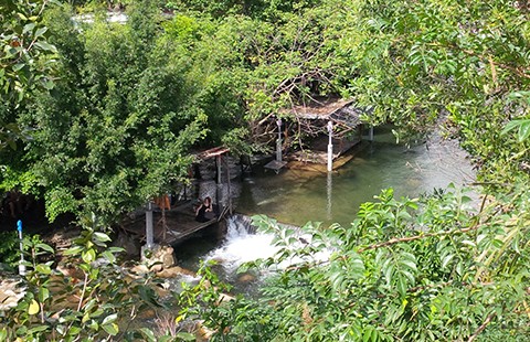 Trang trại trái phép ‘ẩn’ sau biệt phủ đại gia vàng