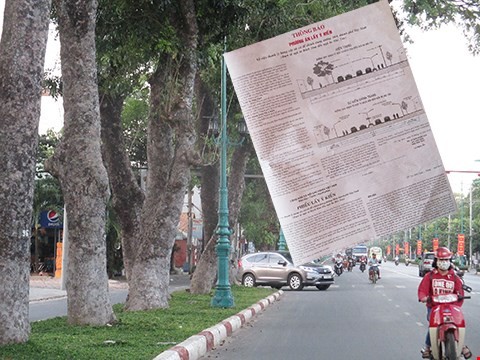 Hỏi ý dân rồi mới chặt cây, tại sao không?