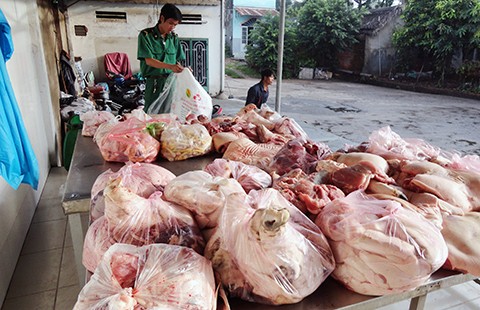 TP.HCM sẽ tiêu hủy ngay heo, gà nhiễm chất cấm