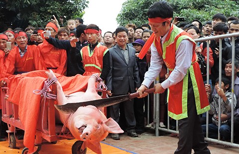 Tiếp tục tổ chức lễ hội chém lợn phản cảm?