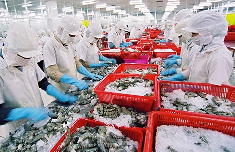 Ký được hợp đồng xuất khẩu 'khủng' mà lại...lo