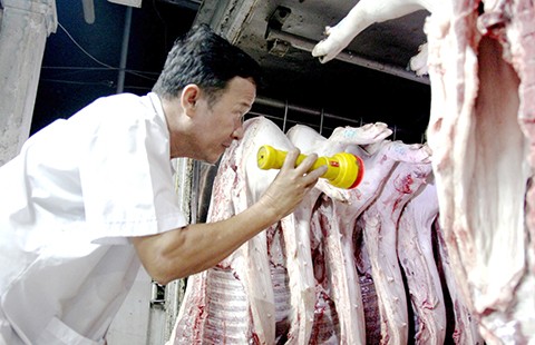 Trắng đêm truy tìm heo nhiễm chất cấm
