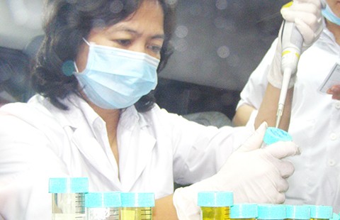 Thú y ‘mua’ tin heo nhiễm chất cấm