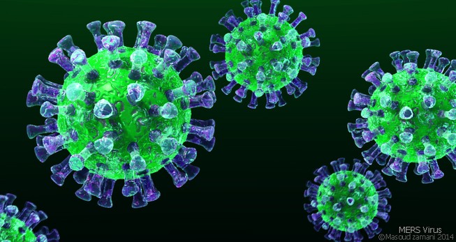 Giám sát chặt người nhập cảnh để ngăn chặn MERS-CoV