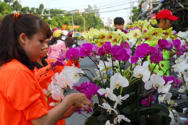Hoa lan Việt 'hạ gục' hoa lan Thái Lan, Hàn Quốc