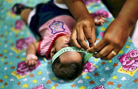 Nhiễm virus Zika qua đường tình dục