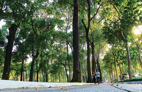 Khoảng trời nhỏ nhoi