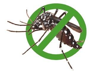 Việt Nam có dùng 'chất gây teo não' Pyriproxyfen để diệt muỗi