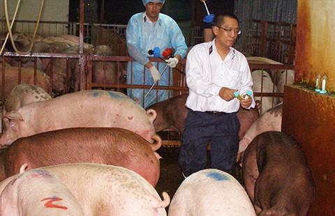 Truy tận gốc nơi cung cấp chất tạo nạc