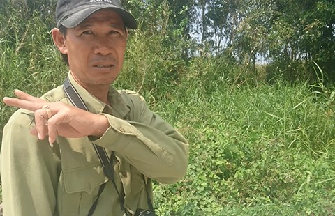 Theo dấu mãng xà U Minh Hạ - Bài 1: Khát khao diện kiến ‘thần rừng’