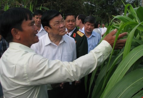 Củ Chi đóng góp vào thắng lợi chung của cả nước