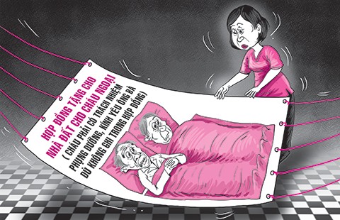 Giới thiệu ‘án lệ’ - Bài 2: Được cho nhà đất, phải phụng dưỡng ông bà